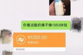 弥勒为什么选择专业追讨公司来处理您的债务纠纷？